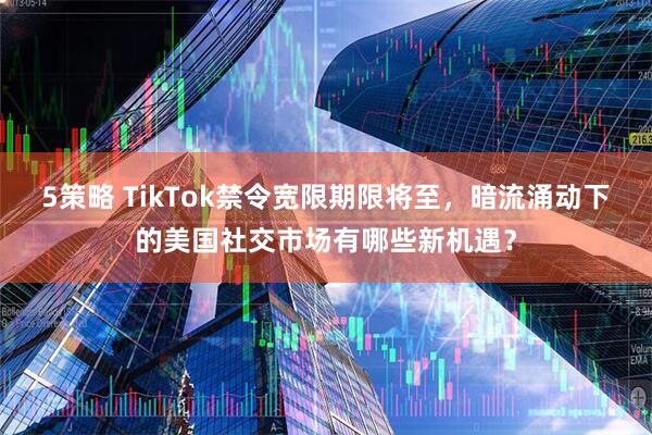 5策略 TikTok禁令宽限期限将至，暗流涌动下的美国社交市场有哪些新机遇？