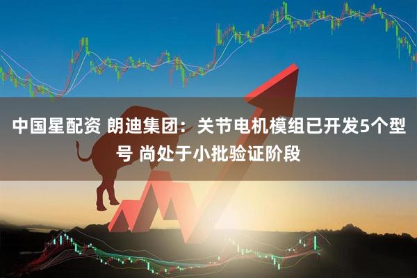 中国星配资 朗迪集团：关节电机模组已开发5个型号 尚处于小批验证阶段