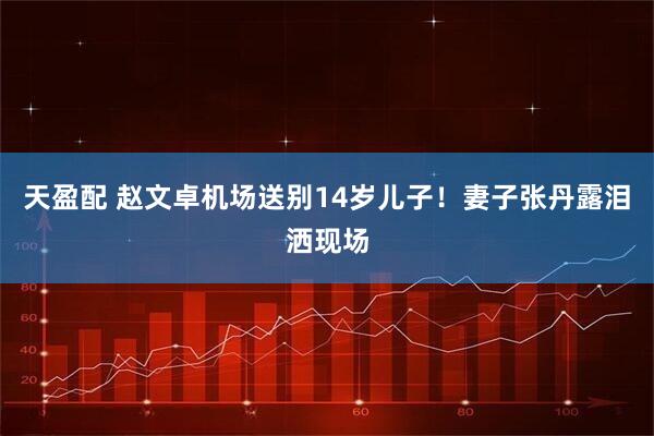 天盈配 赵文卓机场送别14岁儿子！妻子张丹露泪洒现场