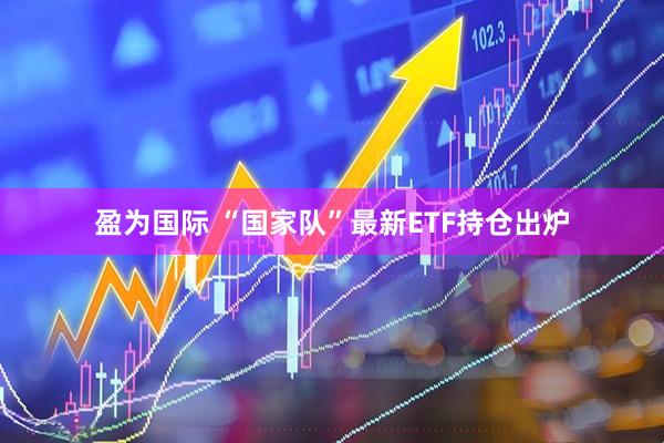 盈为国际 “国家队”最新ETF持仓出炉