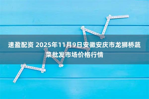速盈配资 2025年11月9日安徽安庆市龙狮桥蔬菜批发市场价格行情